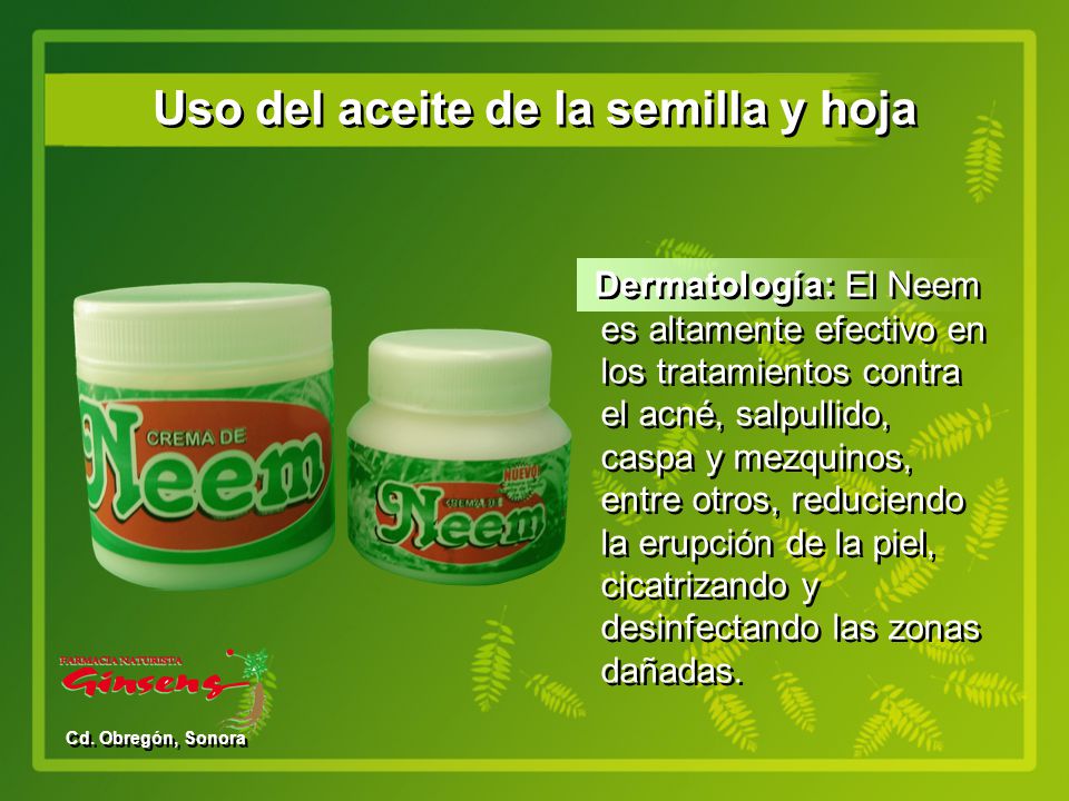te de hojas de neem para que sirve
